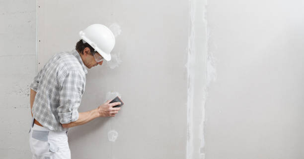 Best Post-Construction Mold Inspection  in USA